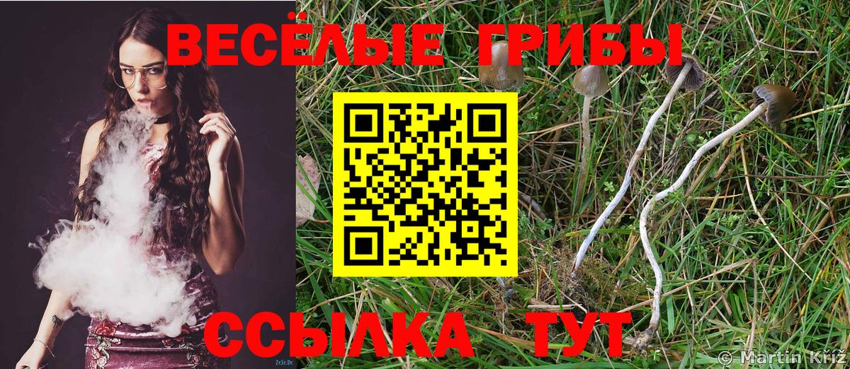 Дальнереченск  Псилоцибиновые грибы MAGIC MUSHROOMS  Вход с VPN 